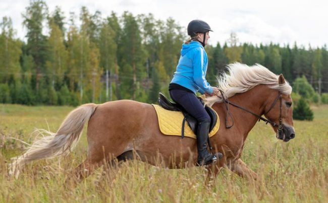 Kate riding horse