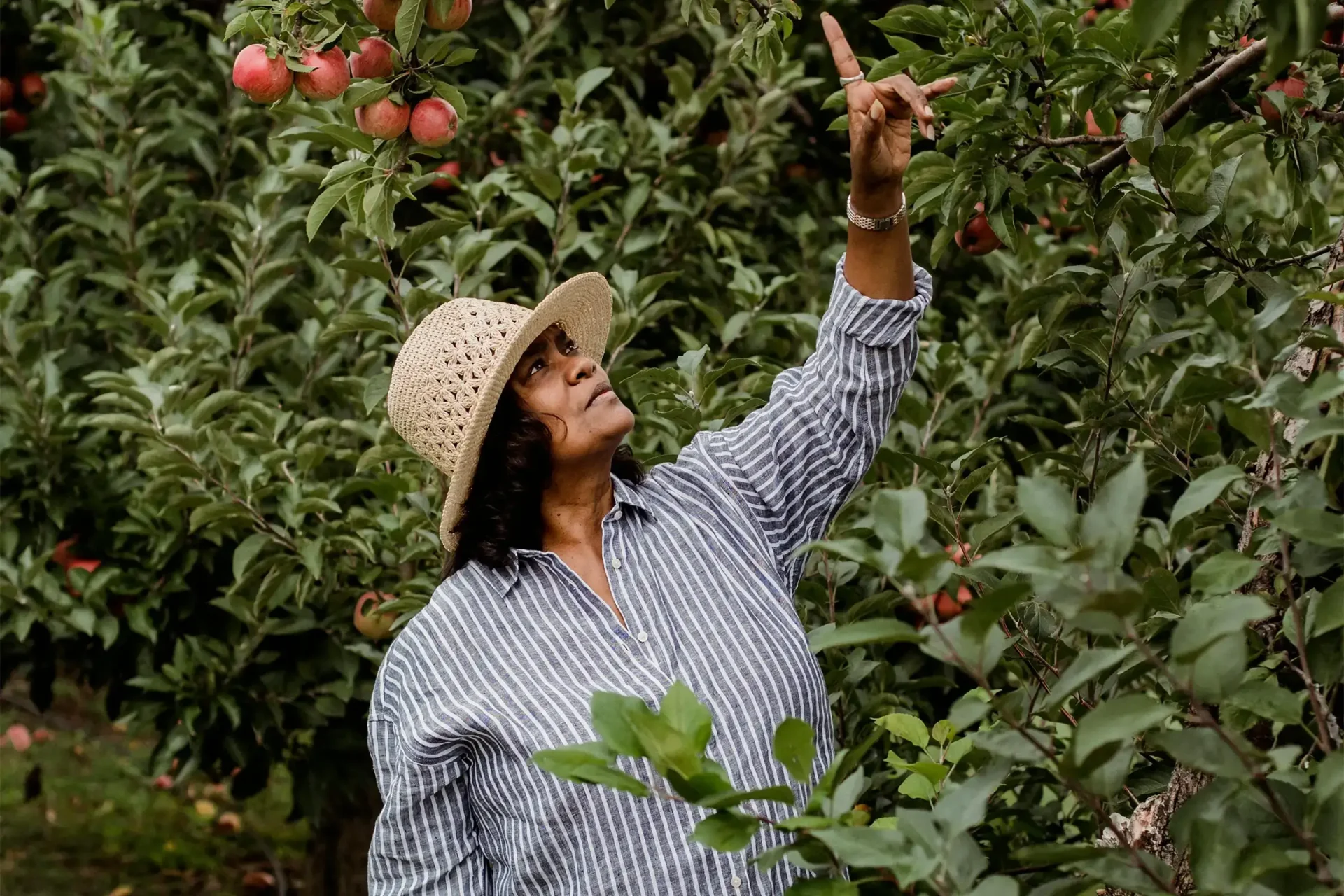 Menu-Success-Stories-2400