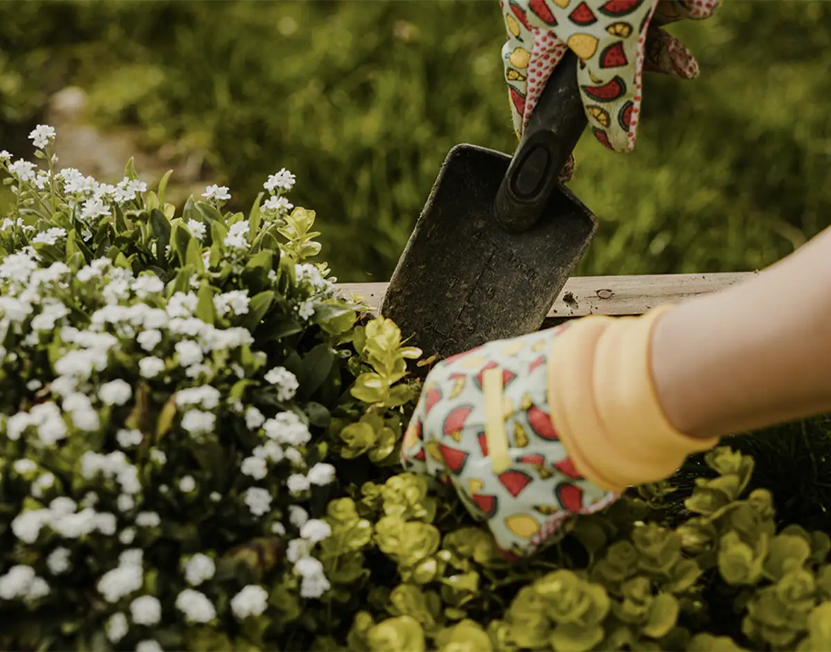 Thumb-joint-distraction-Treatment